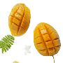 bouton_fruits